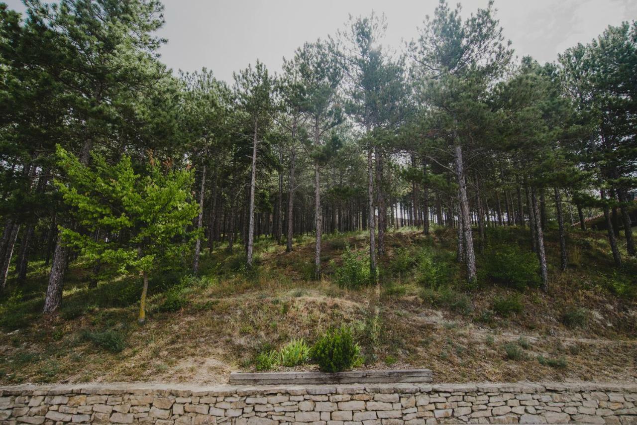 Seidia By Casalea Apartment Morella Bagian luar foto